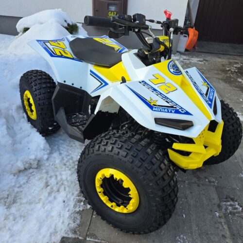 MINI ATV - Quad - VELOCIFERO Gasoline 110cc