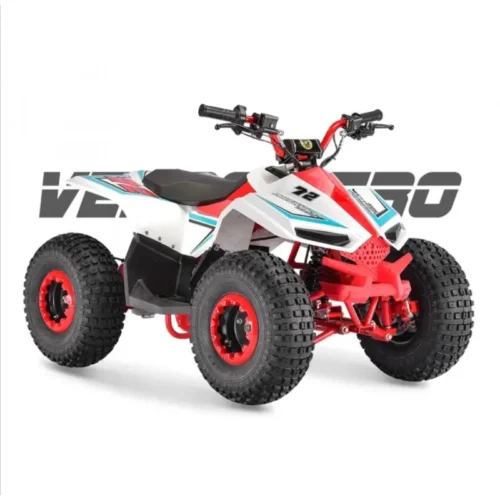 MINI ATV - Quad - VELOCIFERO Gasoline 110cc